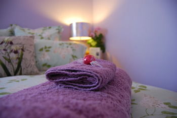Highclaire House Bed And Breakfast - Accommodation Gold Coast 25