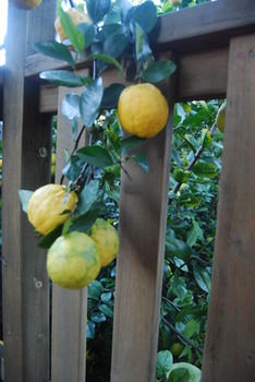 Highclaire House Bed And Breakfast - Accommodation Gold Coast 27