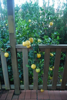 Highclaire House Bed And Breakfast - Accommodation Gold Coast 28