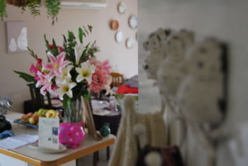 Highclaire House Bed And Breakfast - Accommodation Gold Coast 32