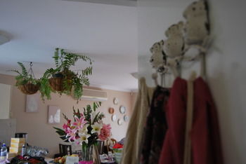 Highclaire House Bed And Breakfast - Accommodation Gold Coast 35