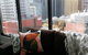 Apartments Of Melbourne Southern Cross - thumb 5