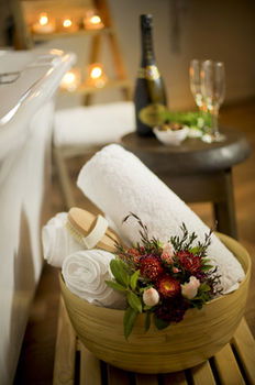 The Villa - Country House Retreat - Accommodation Gold Coast 13