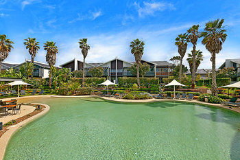 Magenta Studio Room - Accommodation Gold Coast 1