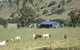 The Wattle Lodge - thumb 19