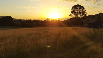 The Wattle Lodge - Accommodation Gold Coast 35