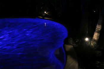 Alaya Escape - Accommodation Gold Coast 34