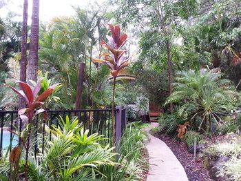 Alaya Escape - Accommodation Gold Coast 36