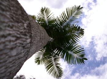 Alaya Escape - Accommodation Gold Coast 39