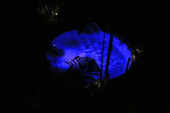 Alaya Escape - Accommodation Gold Coast 44