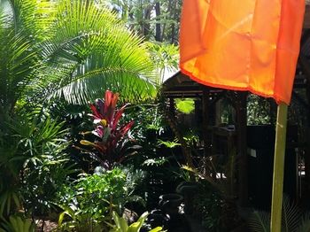 Alaya Escape - Accommodation Gold Coast 53