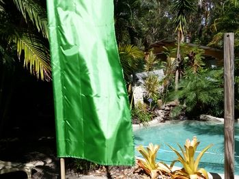 Alaya Escape - Accommodation Gold Coast 54