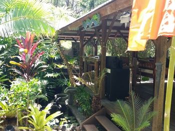 Alaya Escape - Accommodation Gold Coast 55