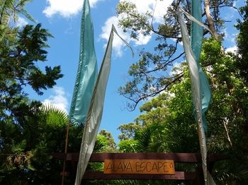 Alaya Escape - Accommodation Gold Coast 56