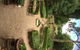 The Regents Park - thumb 53
