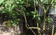 The Regents Park - thumb 54