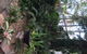 The Regents Park - thumb 55