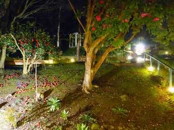 Aquila Nova Retreat - Accommodation Gold Coast 43