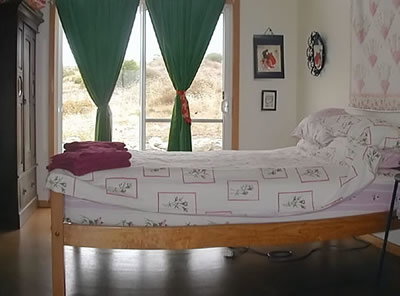 Allure Beach Retreat - Accommodation Gold Coast 2