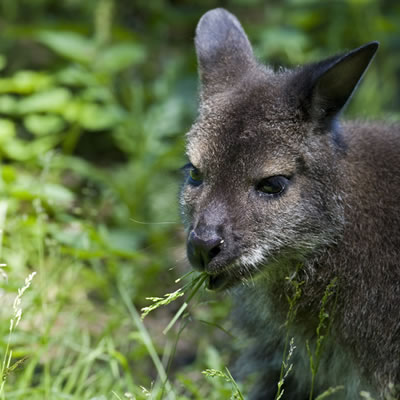 Allure Beach Retreat - Accommodation Gold Coast 6