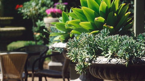 Best Western Plus The Tudor Box Hill - Accommodation Gold Coast 2