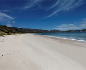 White Beach Tourist Park - Accommodation Gold Coast 1