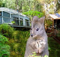 Huon Bush Retreats - Accommodation Gold Coast