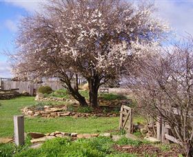 Lakeview Cottage - Accommodation Gold Coast 3