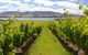 Riversdale Estate Cottages - thumb 0