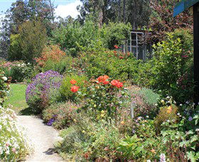 Thelma Retreat - Accommodation Gold Coast 2