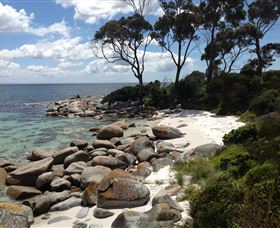 Lake Eckersley Campground - Accommodation Gold Coast 2