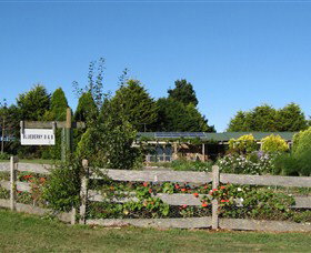 Blueberry B & B - Accommodation Gold Coast 1