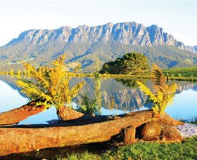 Eagles Nest Regreat - Accommodation Gold Coast 2