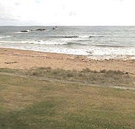 Penguin Caravan Park - Accommodation Gold Coast