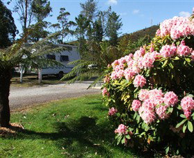 Zeehan Bush Camp  And Caravan Park - Accommodation Gold Coast 0