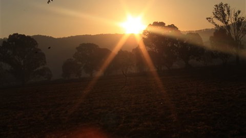 Gentle Annie Caravan And Camping Reserve - Accommodation Gold Coast 1