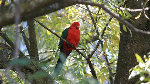 Gentle Annie Caravan And Camping Reserve - Accommodation Gold Coast 2