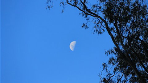 Gentle Annie Caravan And Camping Reserve - Accommodation Gold Coast 4