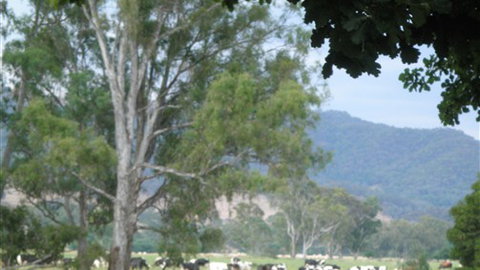 Gentle Annie Caravan And Camping Reserve - Accommodation Gold Coast 3