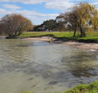 Kangaroo Lake Caravan Park - Accommodation Gold Coast