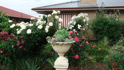Admurraya House Bed And Breakfast - Accommodation Gold Coast 5
