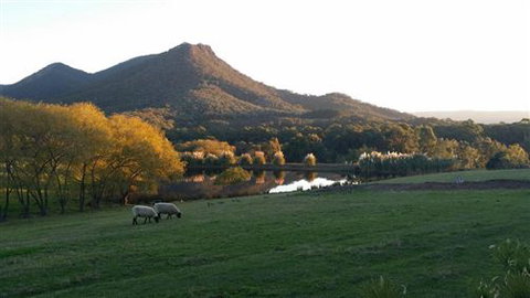 Cathedral Valley Farm - Accommodation Gold Coast 2