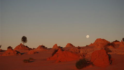 Mungo Lodge - Accommodation Gold Coast 6