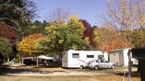 Porepunkah Pines Holiday Park - Accommodation Gold Coast 6