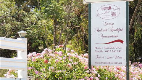 Burrabliss Bed And Breakfast - Gold Coast 4U 6
