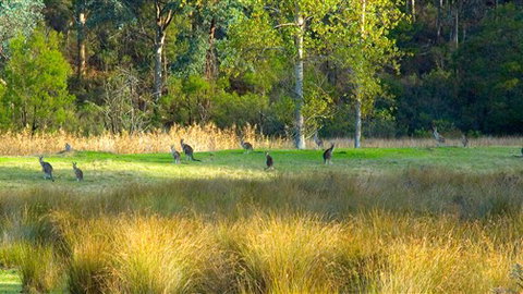 Waterholes Guest House - Accommodation Gold Coast 4
