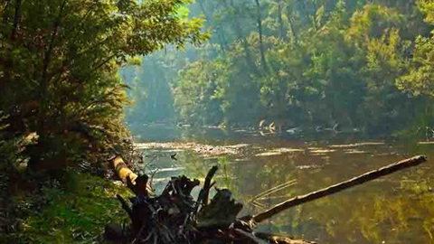 Waterholes Guest House - Accommodation Gold Coast 5