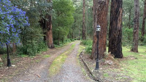 Wattle Tree Creek Cottages - Accommodation Gold Coast 5