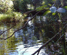 Mary Anns Cottage - Accommodation Gold Coast 1