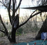 Main Beach Foreshore Camping Grounds - Accommodation Gold Coast